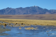 313-volcan-en-activite-depuis-la-puna-au-retour-de-El-Tatio