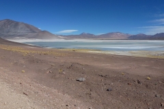 322-Salar-Agua-Calientes-sur-la-route-du-paso-Sico