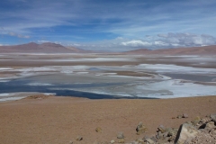 324-Autre-Salar-Agua-Calientes-sur-la-route-du-paso-Jama