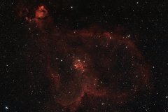 coeur1911drizzle-copie