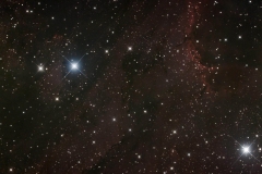 pelicanmoyennepondereecalibrationchaquecana57poses