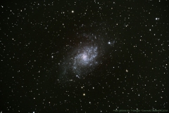 Image enregistrée avec les ajustements inclus.