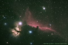 Image enregistrée avec les ajustements inclus.