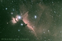 I-Tete-cheval-8-janvier-2013-R2