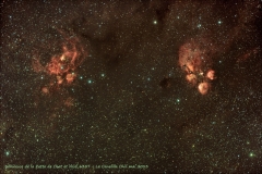 Image enregistrée avec les ajustements inclus.