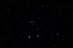 20110525-trio-du-lion