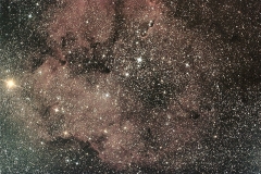 Cephee-IC-136