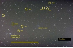 Champ-Grande-OursePowerPoint001