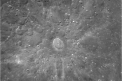 Tycho