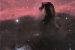 Nébuleuse de la "Tête de cheval"