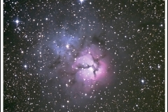 000012-M20-Crop-Trifide-CDLS-23072012-LucBourdin