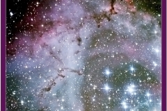 000020-Rosette-Crop-08012013-LePavin-LucBourdin