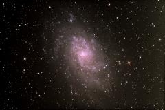 M33